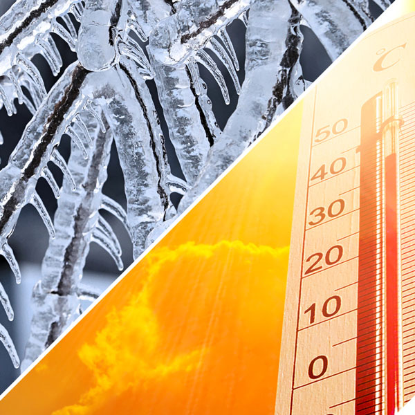 Temperature / Gelo