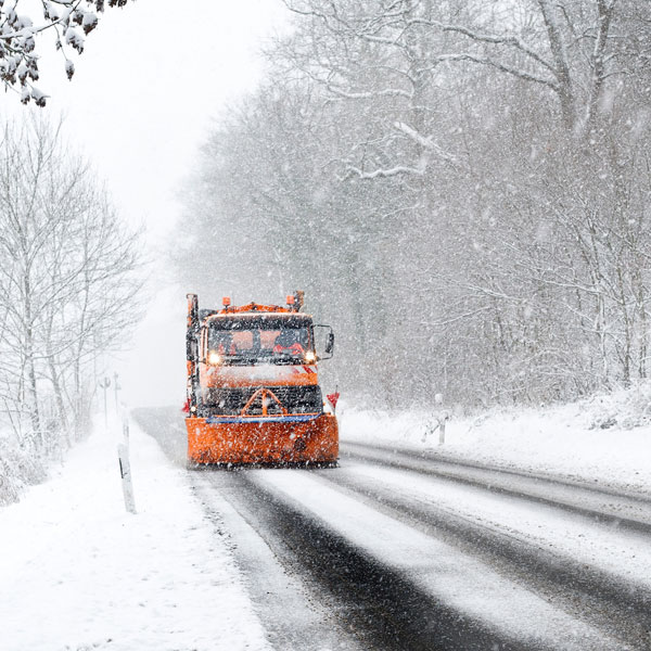 Neve